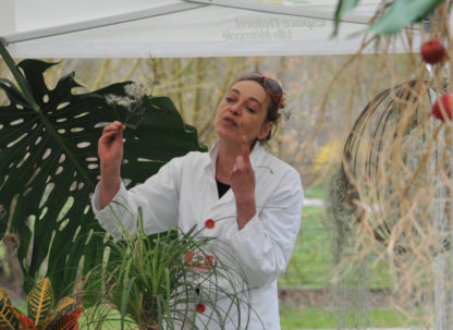 Animation nature, évènement, Stand des Bizarreries